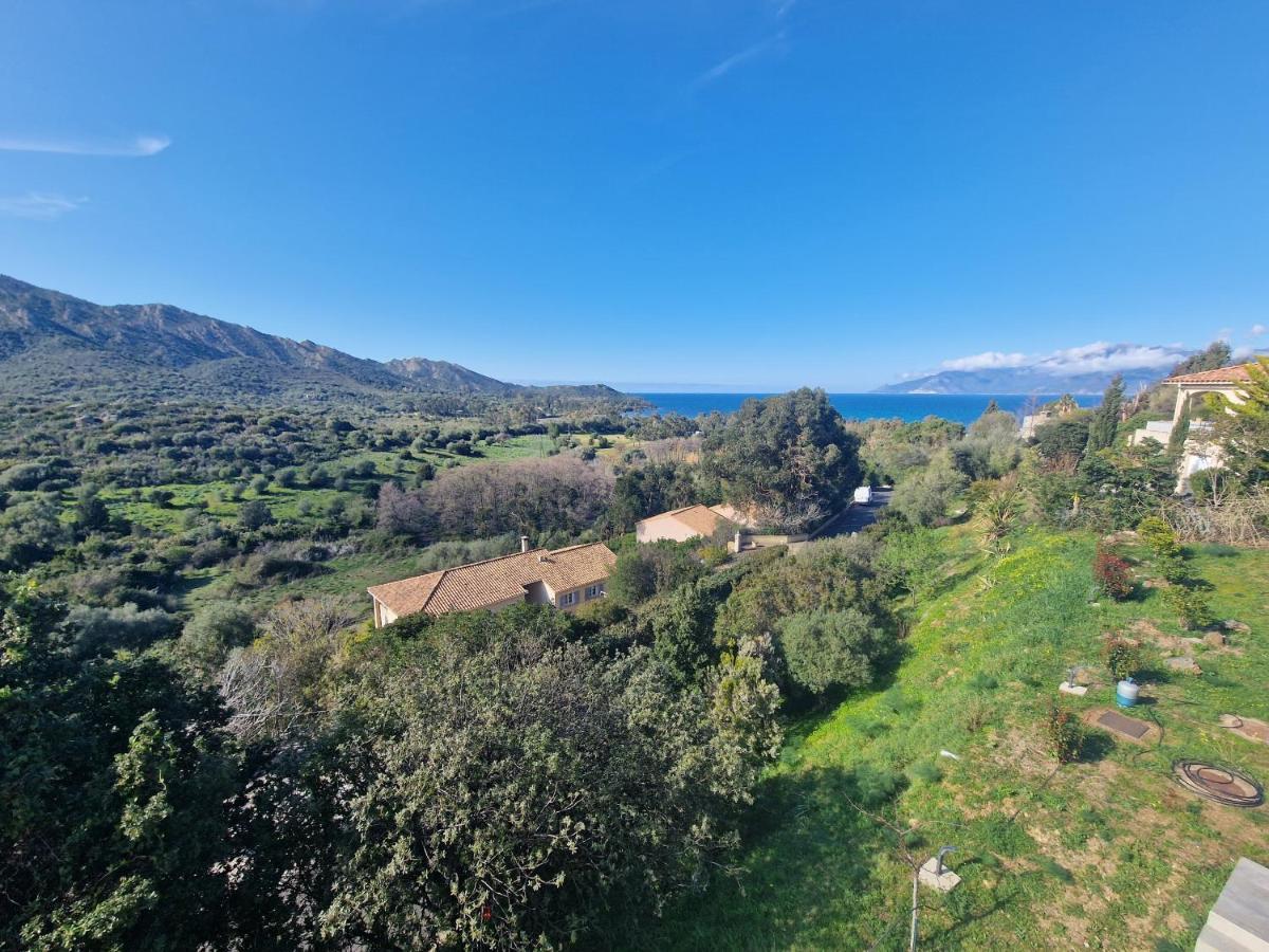 Appartement Vue Mer Fromontica แซ็งต์-โฟลร็องต์ ภายนอก รูปภาพ